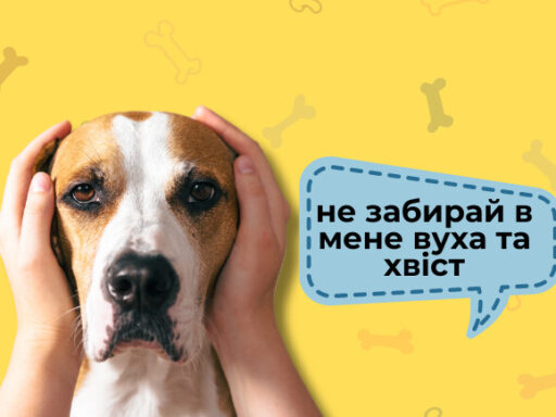 В Україні хочуть заборонити купірувати собакам хвости та вуха